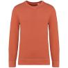 Unisex sweatshirt Made in Portugal Terry Native Spirit®