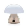 USB Rechargeable Table Lamp RCS Luming