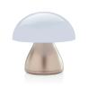 USB Rechargeable Table Lamp RCS Luming