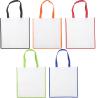 Non-woven bag (80gsm) Avi