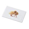 Memoria USB Memorama