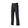 Dickies® Everyday Trousers