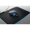 Ratón para juegos en ABS Thorne Mouse RGB