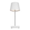 Lampe de Bureau Vidia