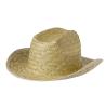 Chapeau Lion