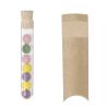 Set Bombom Sementes Dinaclex