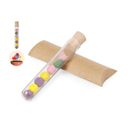Set Bombom Semillas Dinaclex