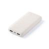 Powerbank 20000 mAh Golblum