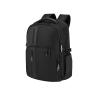 Sac à dos Daytrip 15.6" Biz2Go Samsonite®