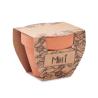 Vaso de Terracota com Sementes de Hortelã Mint Pot