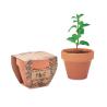 Vaso de Terracota com Sementes de Hortelã Mint Pot