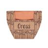 Vaso de Terracota com Sementes  de Agrião Cress Pot