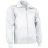 Manteau Galen