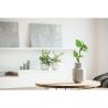 Bloc A5 Bouleau GROWBOOK™