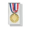 Medalha de ferro Winner