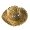 Chapeau Indiana