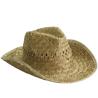 Chapeau Indiana