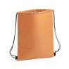 Mochila Refrigeradora Nipex