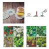 Seed paper cup coasters (Production)
