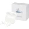 Écouteurs True Wireless Braavos 2