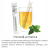 Té Teastick Orgánico (Producción)