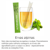 Chá Teastick Orgânico (Produção)