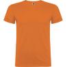 Children's short-sleeve t-shirt Beagle Roly®