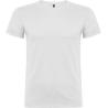 T-shirt de manga curta para crianças Beagle Roly®
