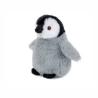 Pinguem Édition Éco