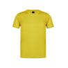 Camiseta Adulto Técnica Rox