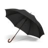 Guarda-Chuva Bach