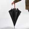 Umbrella Bach