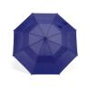 Umbrella Prince