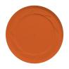 Recycled plastic Frisbee Model