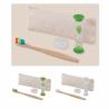 Dental Set Tooth