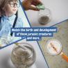 Juego didáctico para niños Jurassic Pets Kit I Science4You®