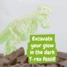 Educational game for children Fossil Excavation Kit I Science4You®
