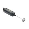 Froath milk frother