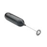 Froath milk frother