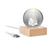 Crystal Ball LED Christmas Santa Light