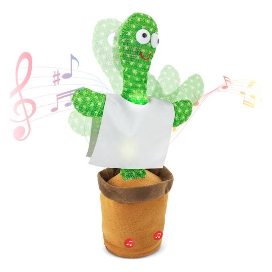 Cactus Danseur Panchito