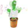 Cactus Danseur Panchito