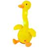 Ducky Dancer Duky