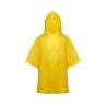 Poncho Théo