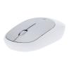 Rato Doryt RCS