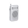 Radio Master
