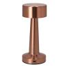 Rosity Lamp