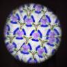 Set Kaleidoscope
