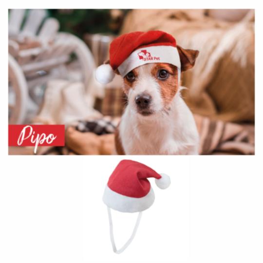 Bonnet de Noël pour animaux...