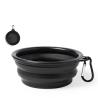 Baloyn Collapsible Bowl